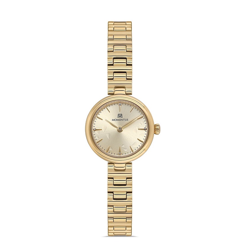 MOMENTUS CW313G-08SG