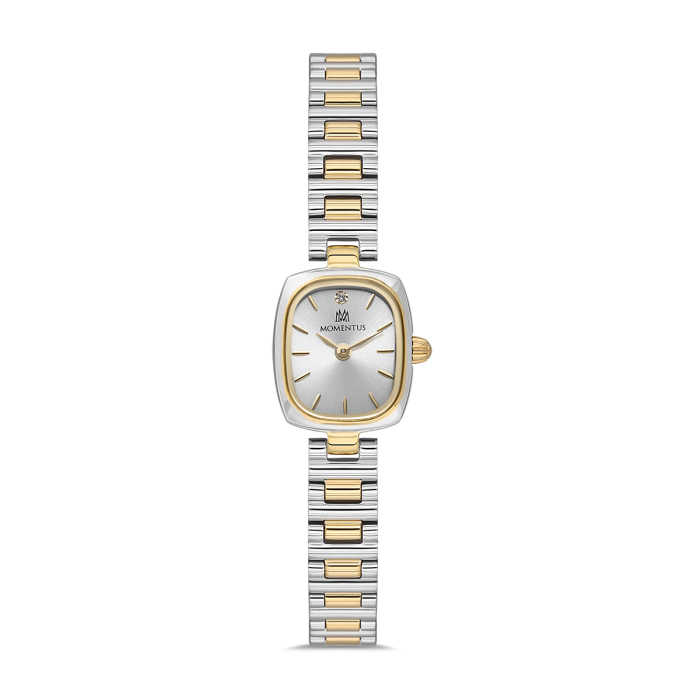 MOMENTUS CW317T-02SG