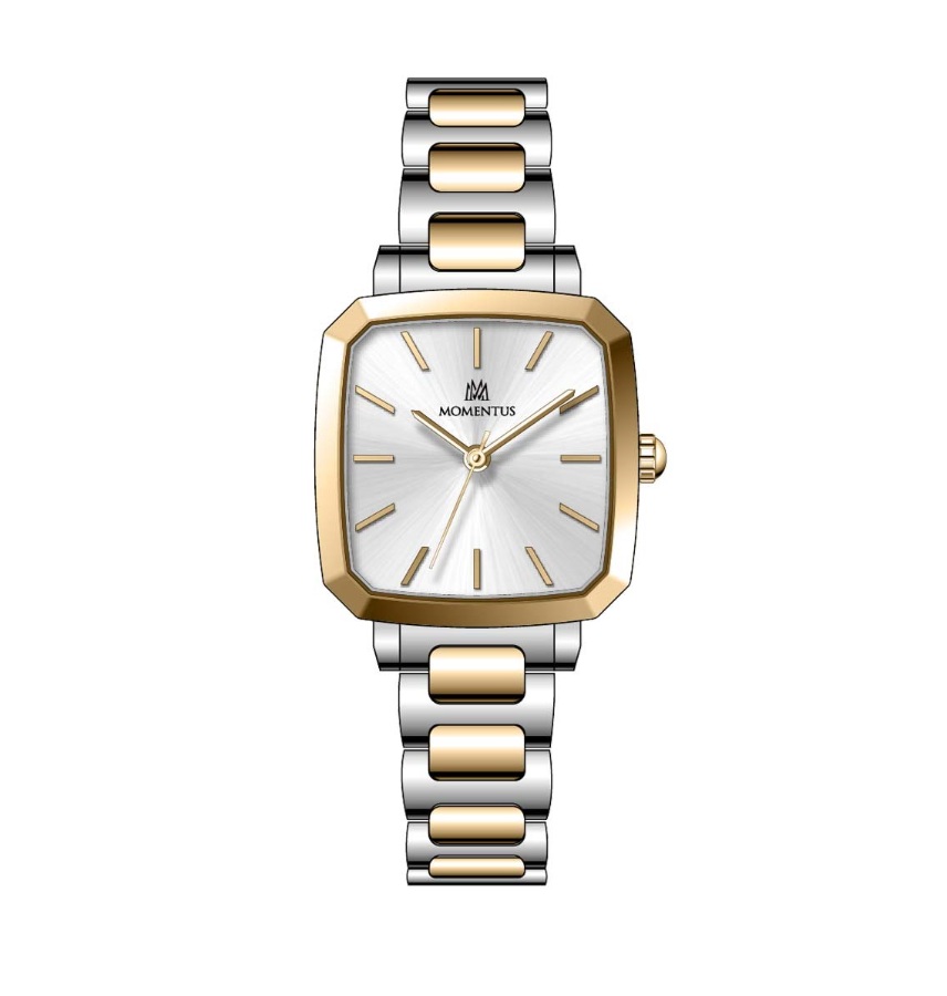 MOMENTUS CW321G-02TG