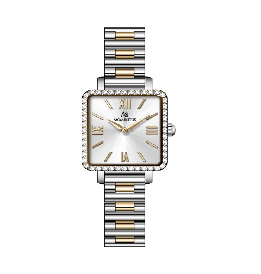 MOMENTUS SS402T-02SG